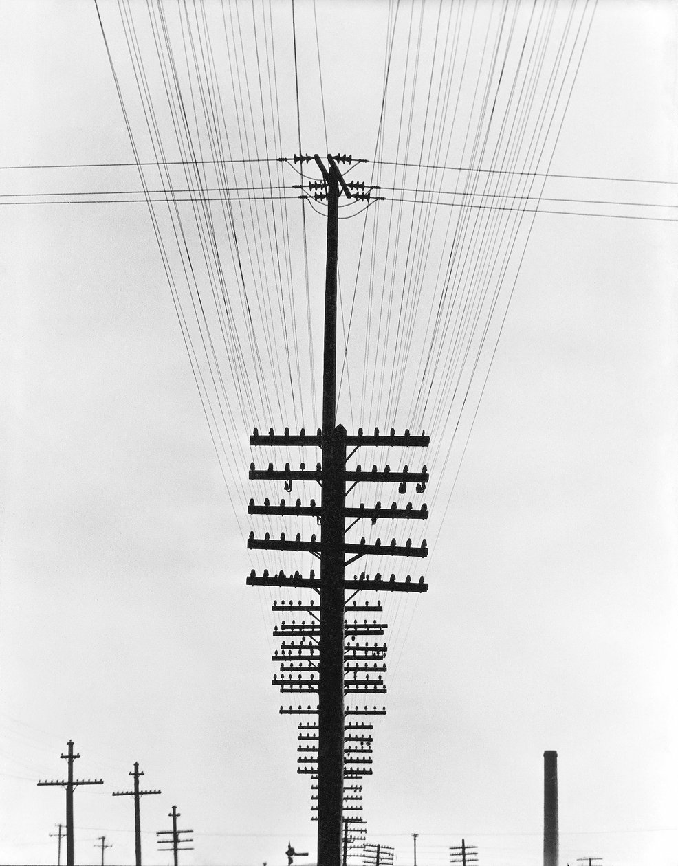 Fili telegrafici, Messico, 1925 da Tina Modotti