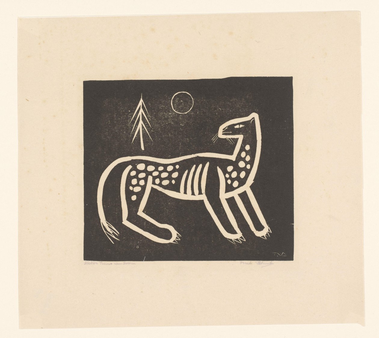 Tigre da Tinus van Doorn (signed by artist)