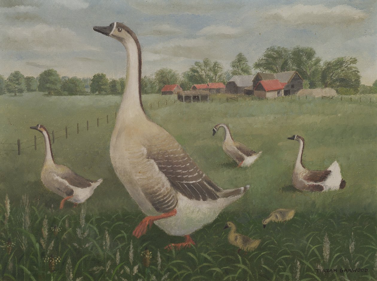 Dove vagherai? da Tirzah Ravilious