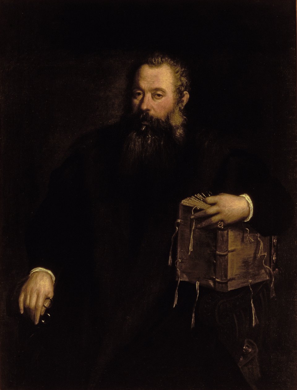 Ritratto del dottor Andreas Vesalius da Tiziano Vecelli
