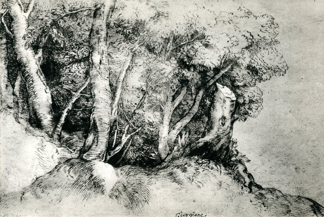 Paesaggio forestale da Tiziano Vecelli