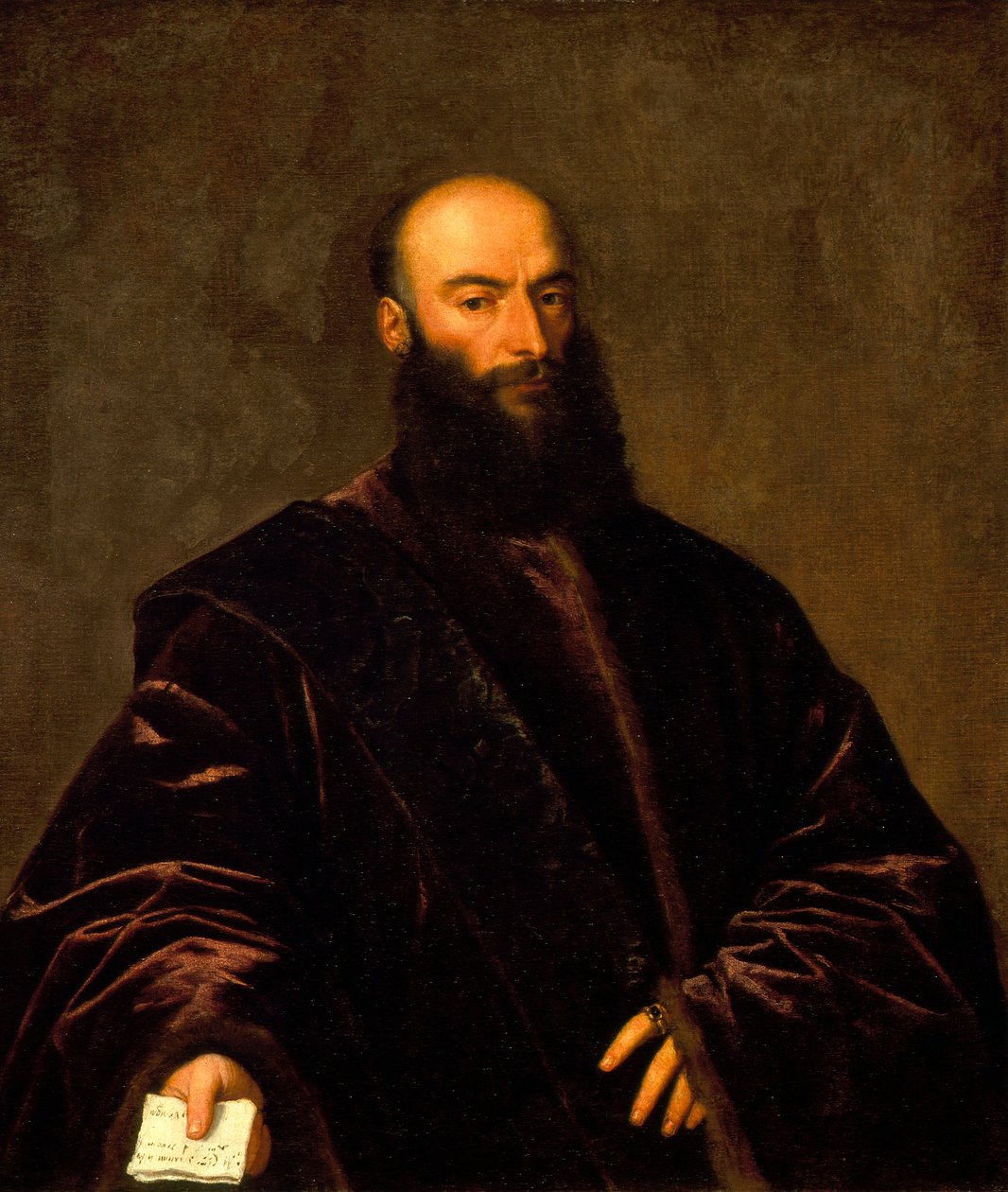 Portrait of Giacomo di Andrea Dolfin da Titian