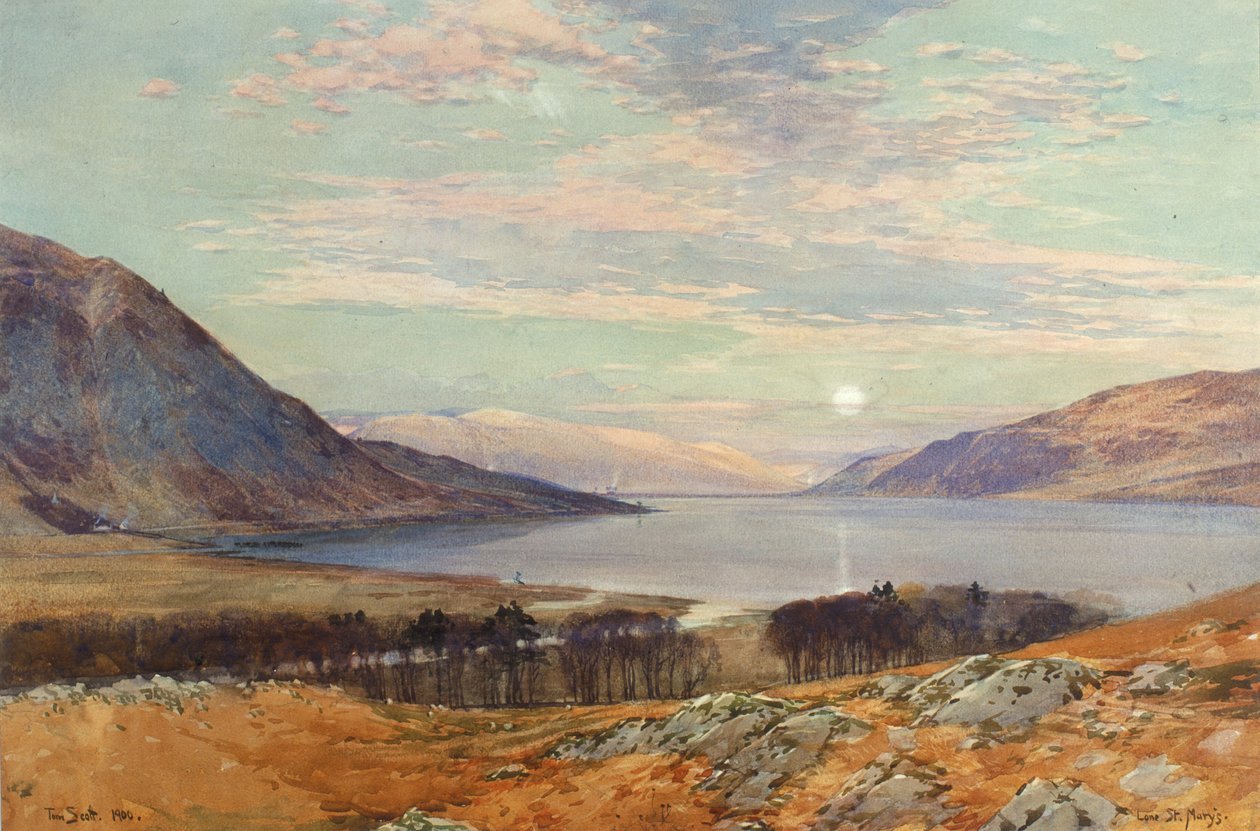 Lone, St Marys da Tom Scott