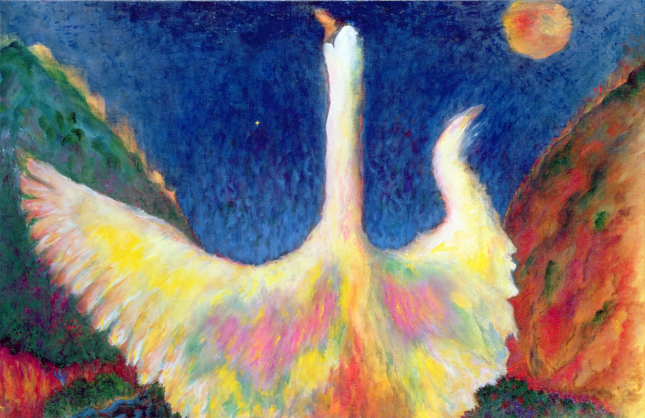 Leda e il cigno da Tom Cook