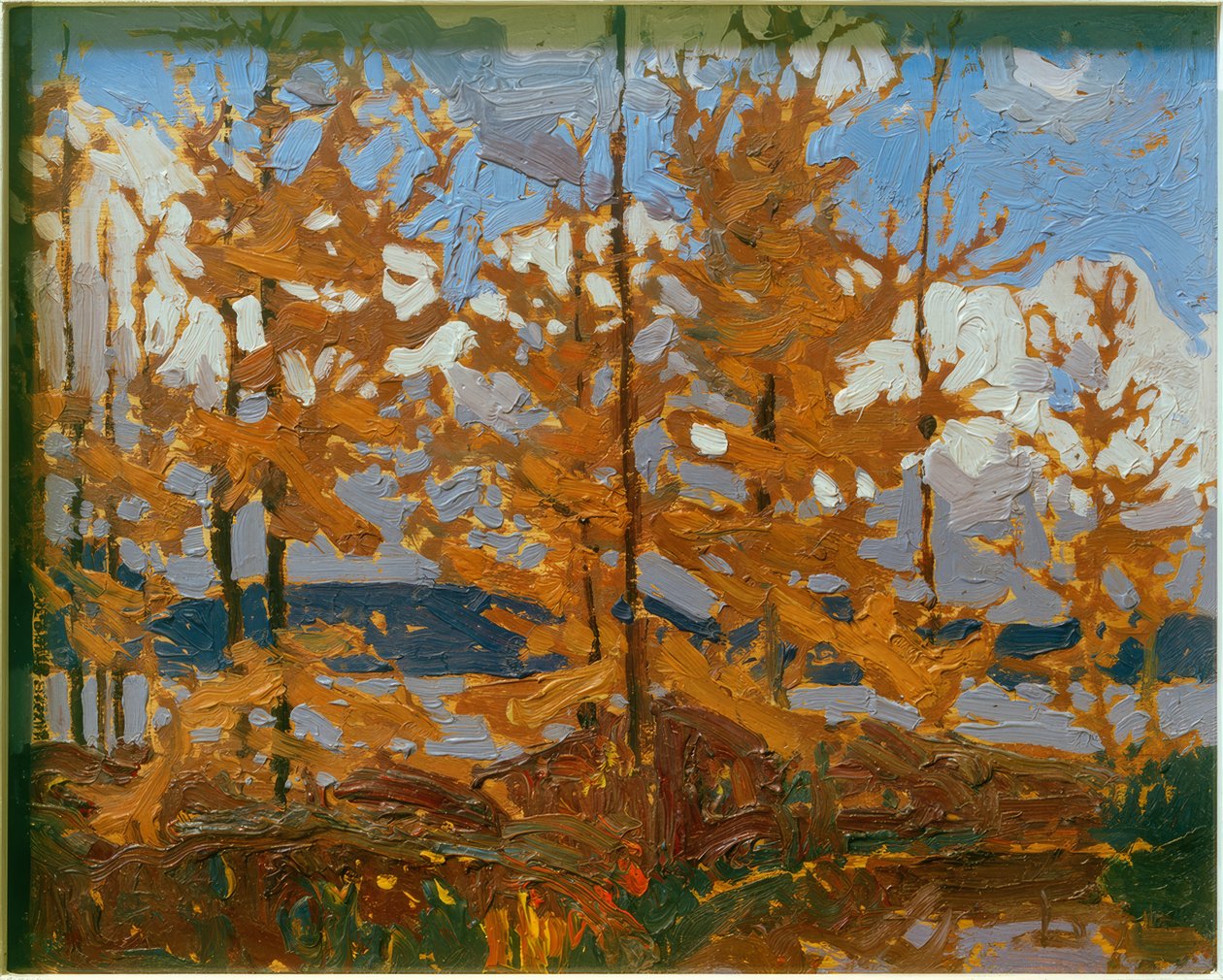 Larici da Tom Thomson