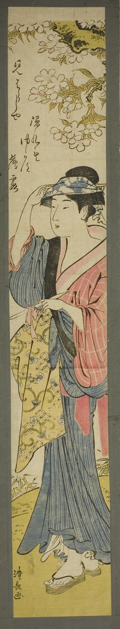 Donna che osserva i fiori di ciliegio da Torii Kiyonaga