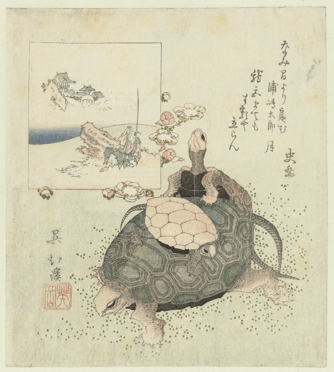 Tartarughe da Totoya Hokkei