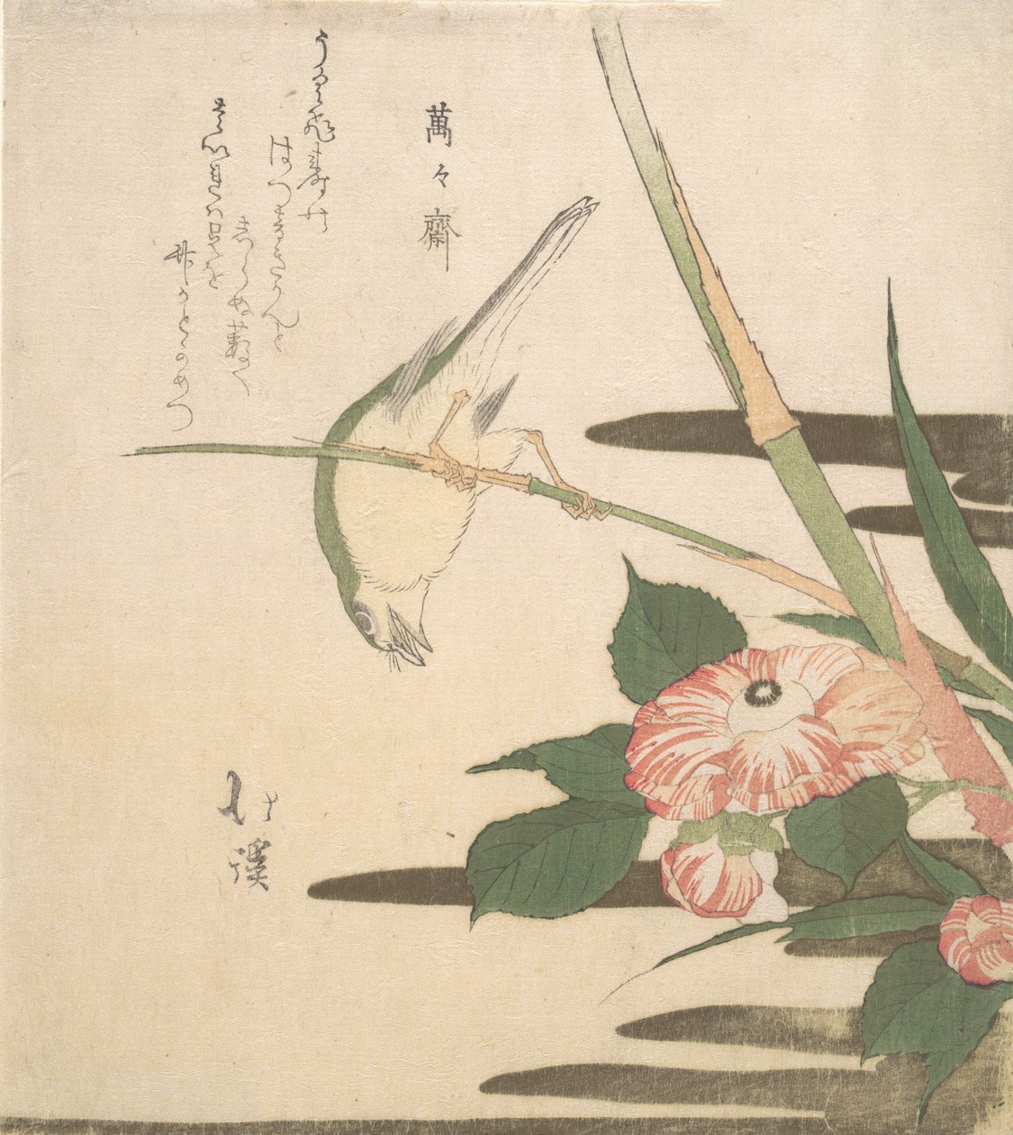 Parula e camelia, ca. 1815-20 da Totoya Hokkei
