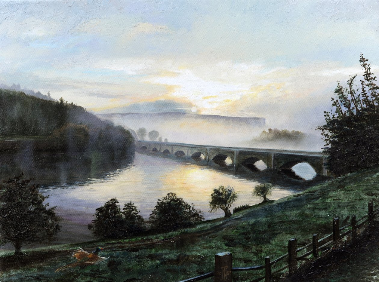 Nebbia del mattino presto da Trevor Neal