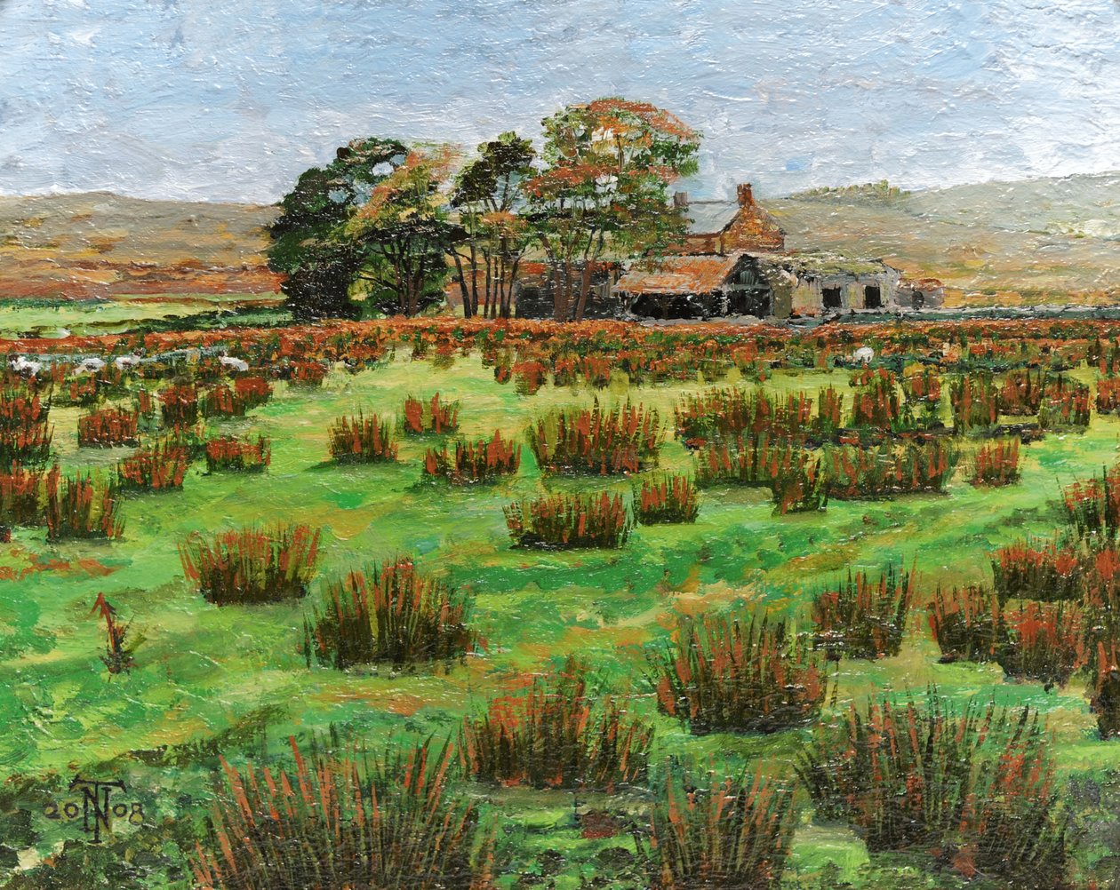 Fattoria, Cumbria, 2008 da Trevor Neal