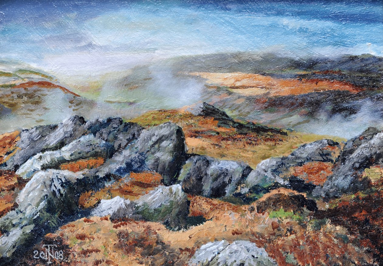 Cima delle Langdales, Cumbria, 2008 da Trevor Neal