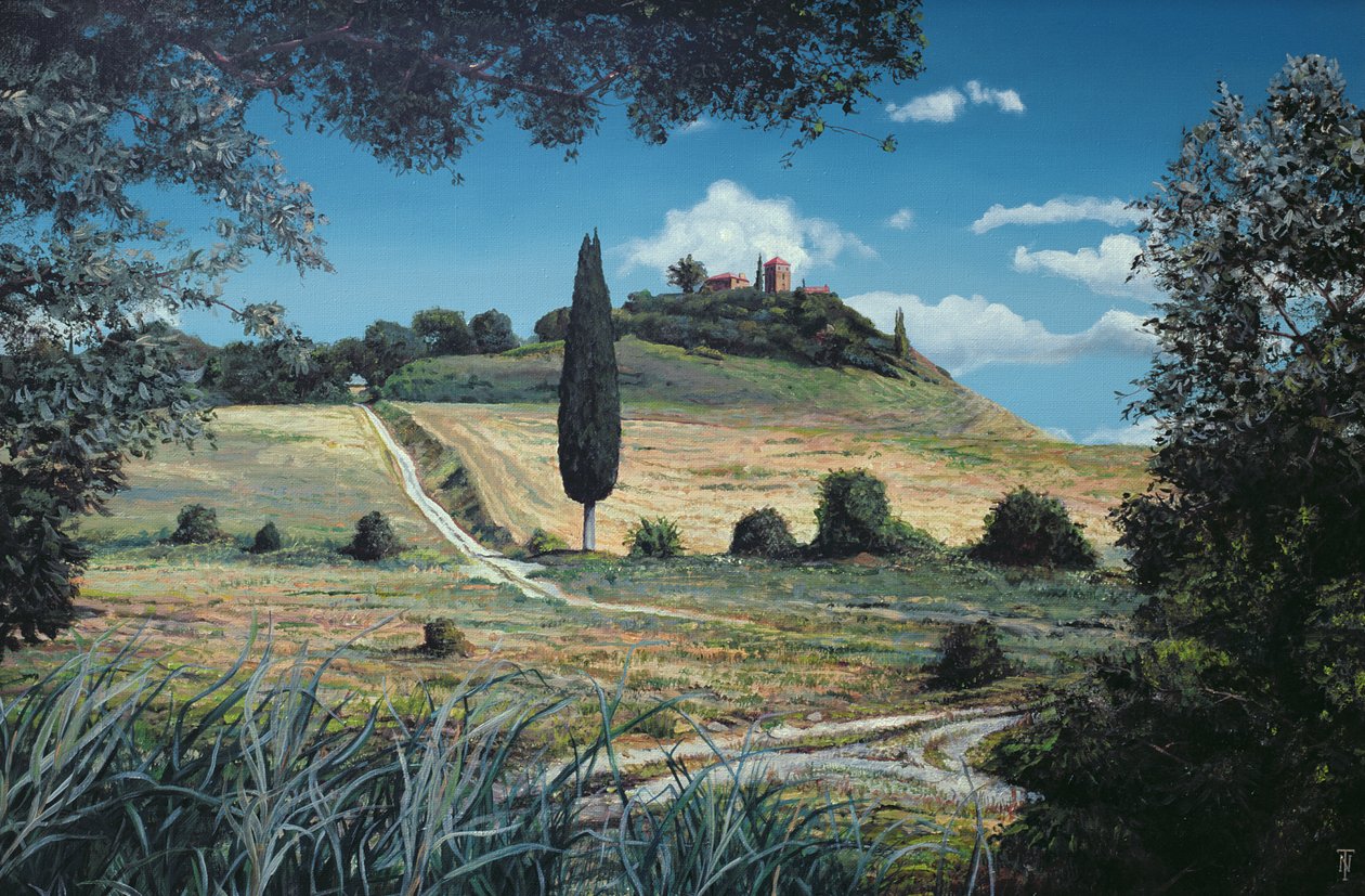 Albero di lecca-lecca, Umbria, 1998 da Trevor Neal