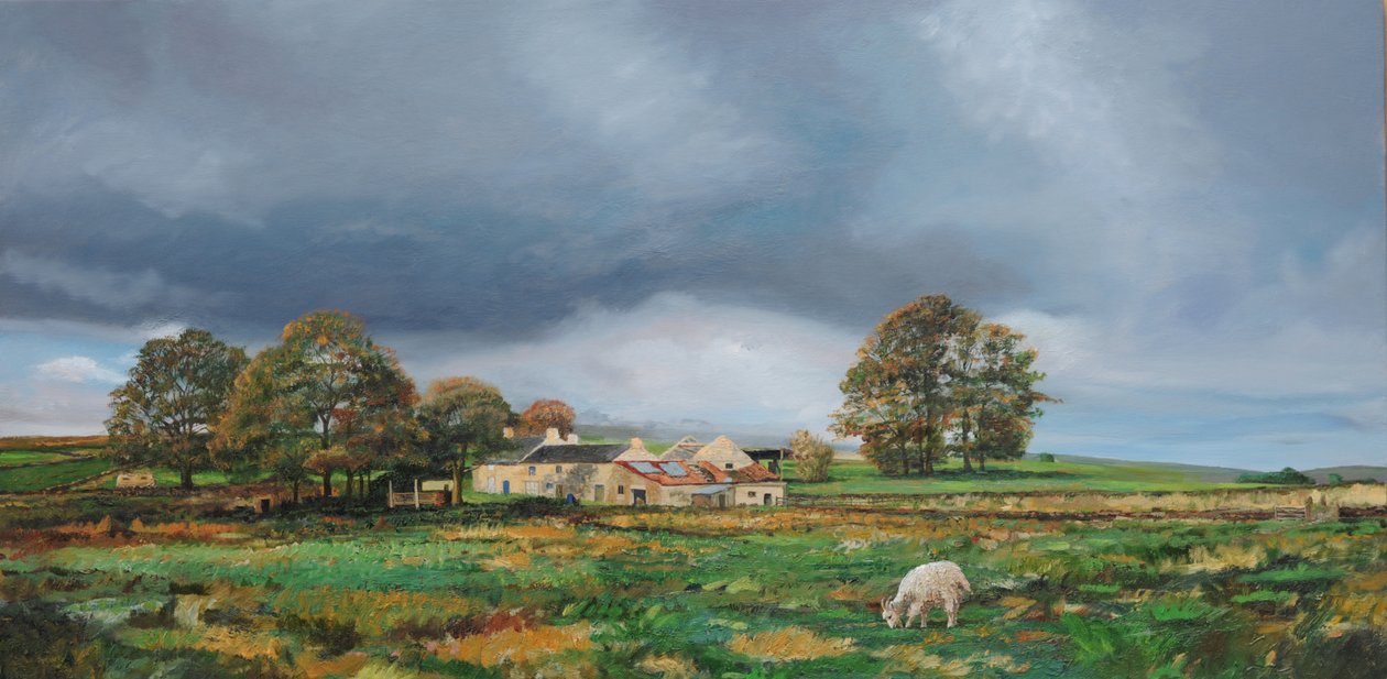 Vecchia fattoria, Monyash, Derbyshire, 2009 da Trevor Neal