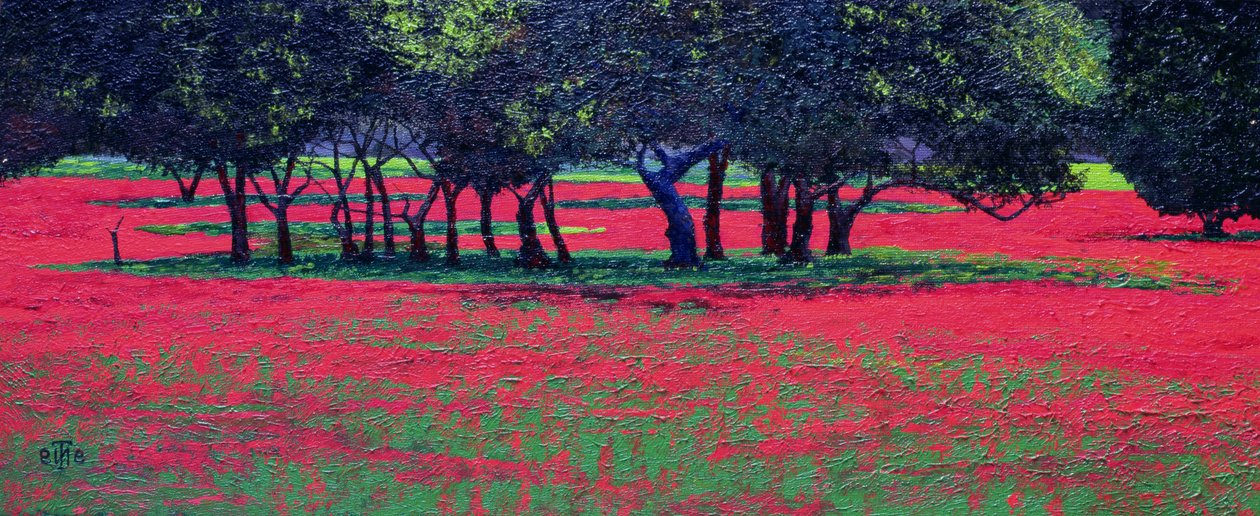 Scossa rossa, 1999 da Trevor Neal