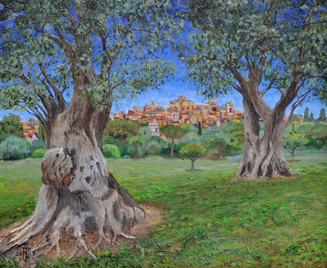 Vista di Cagnes Sur Mer dal Giardino di Renoir da Trevor Neal