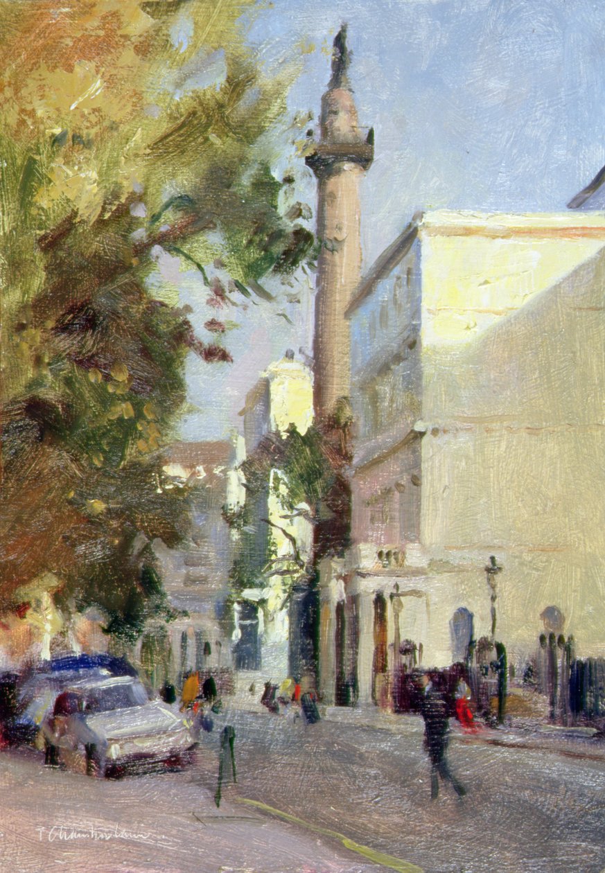 Carlton House Terrace da Trevor Chamberlain