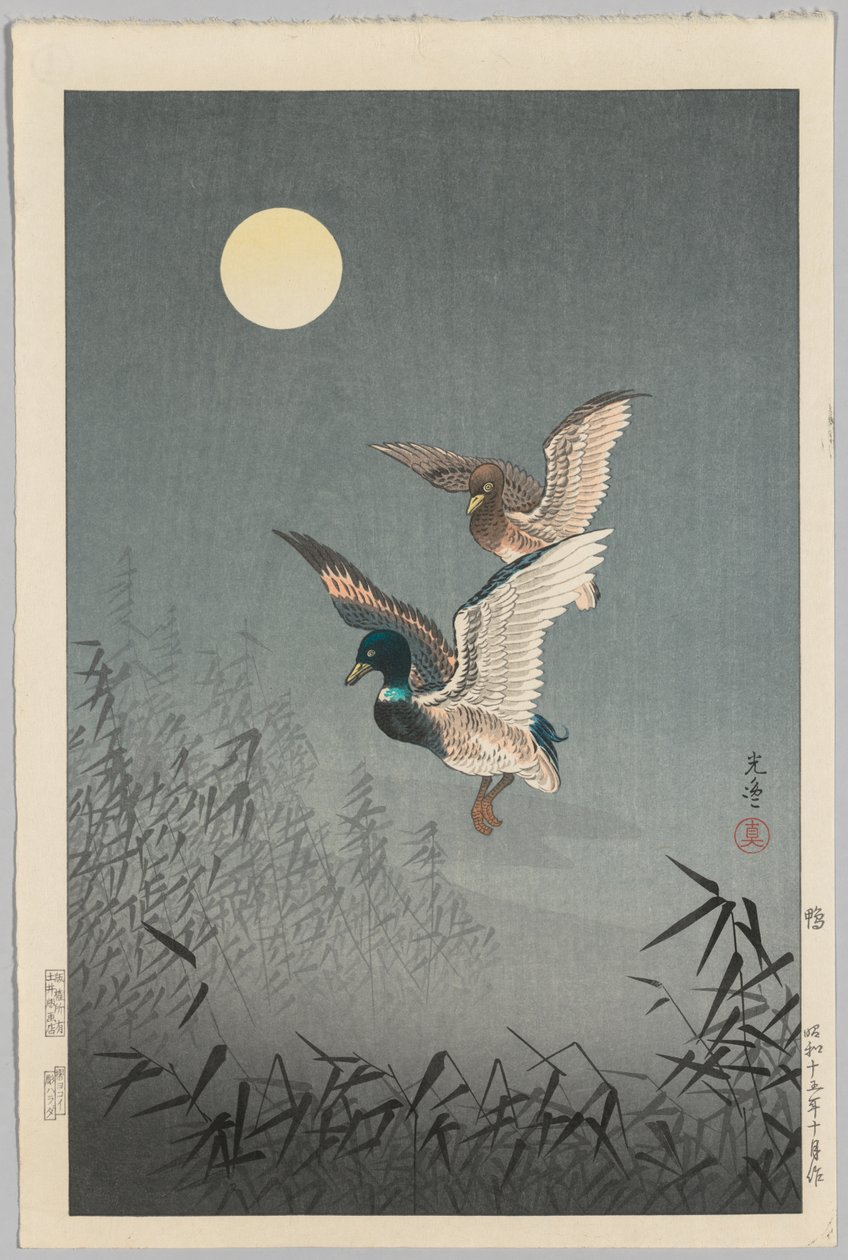 Vedute di Tokyo: Anatre da Tsuchiya Kōitsu