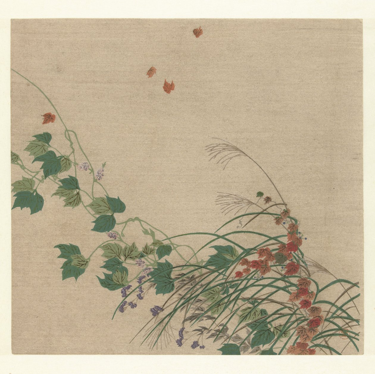 Autunno da Tsukioka Kogyo