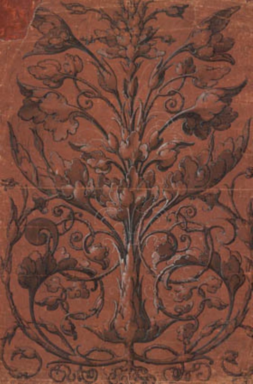 Ornamentazione vegetale simmetrica da Ubekendt tysk 1520