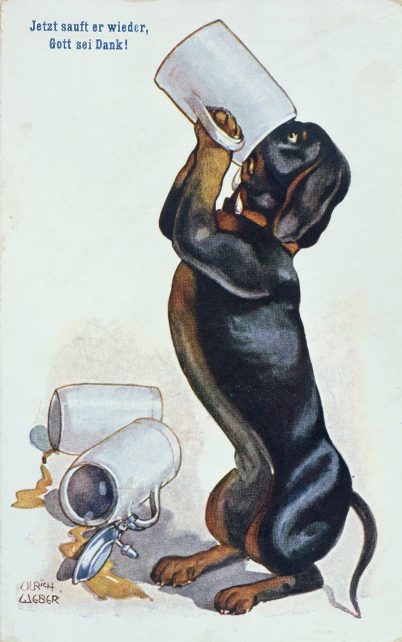 Un bassotto che beve birra, c.1900 da Ulrich Weber