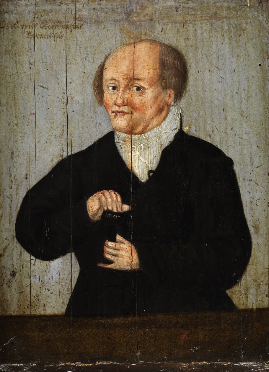Philippus Theophrastus Paracelsus da Unbekannt Unbekannt