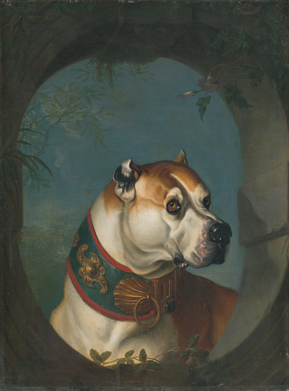 Ritratto di un cane da Unbekannt Unbekannt