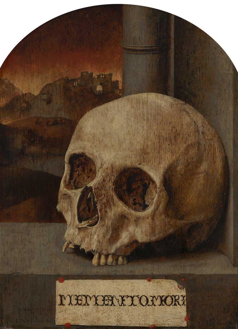 Natura morta vanitas da Unbekannt Unbekannt