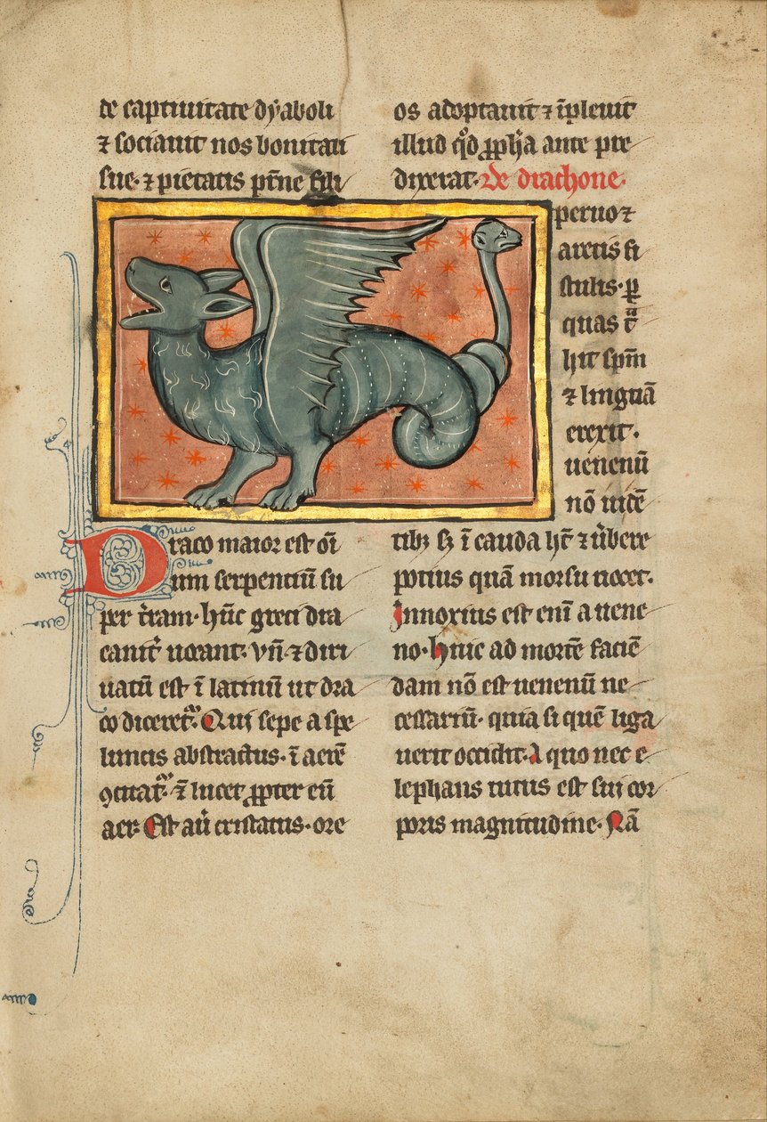 Un drago alato da Unbekannt Unbekannt