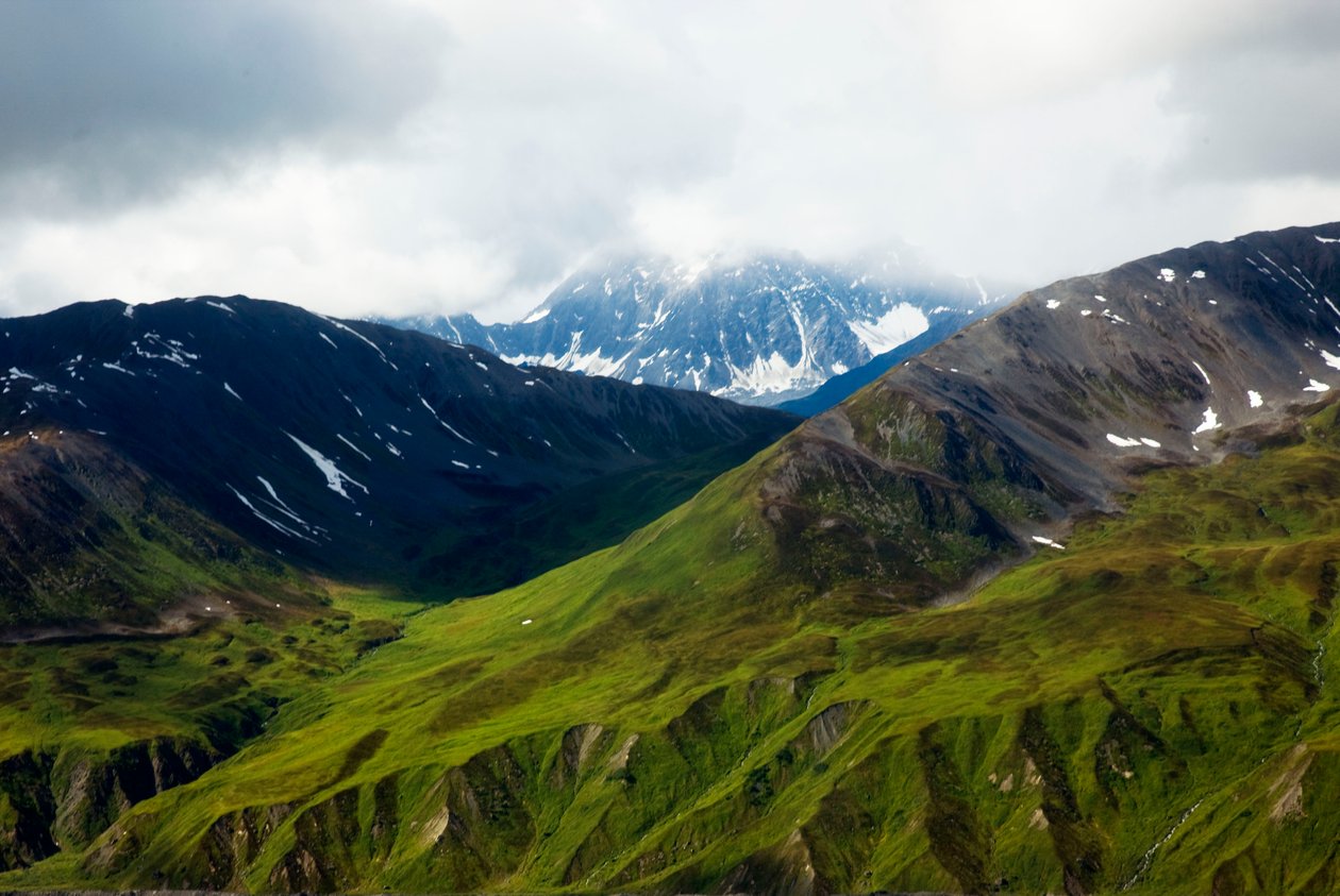 Tundra dell