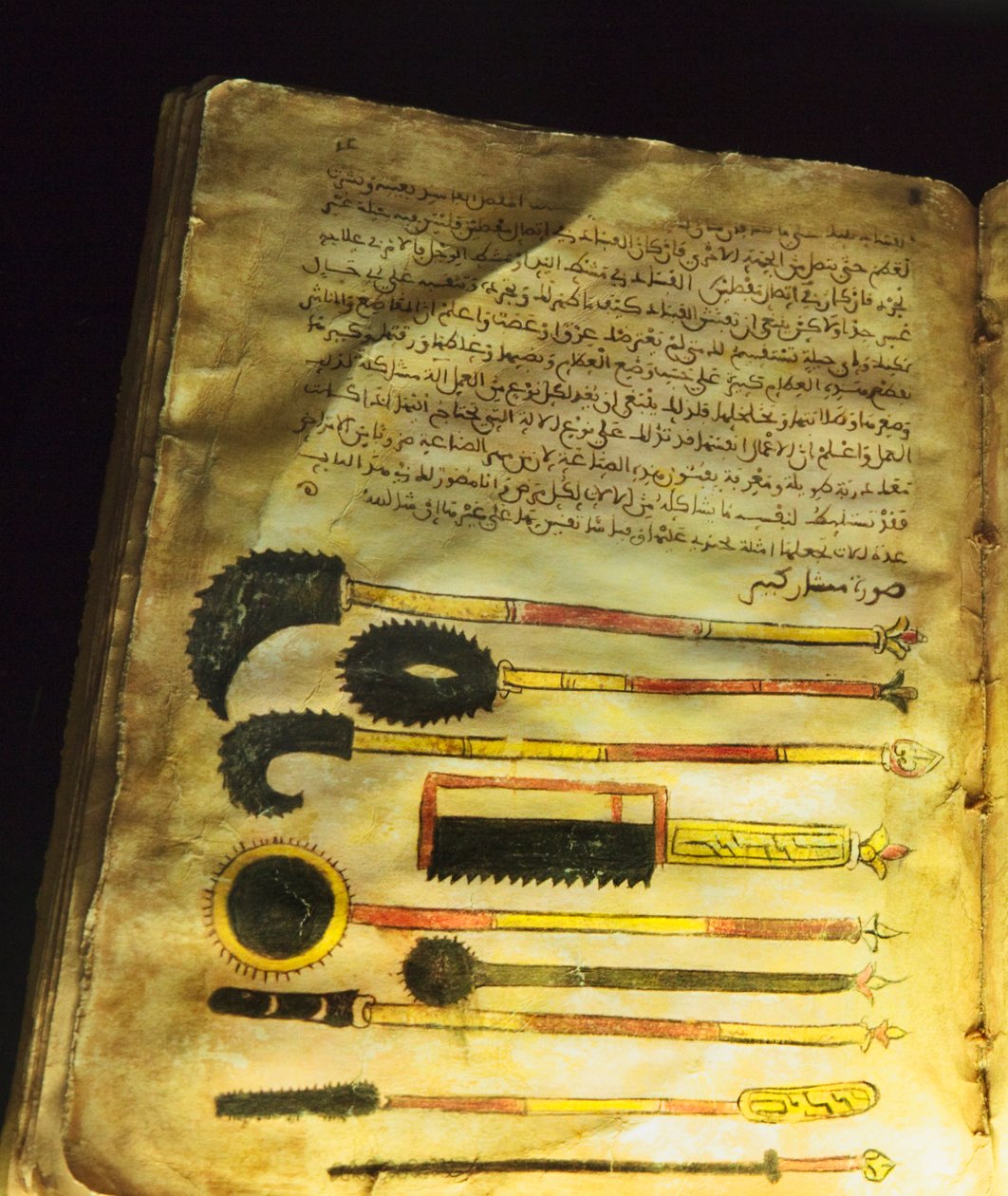 Illustrazione da 