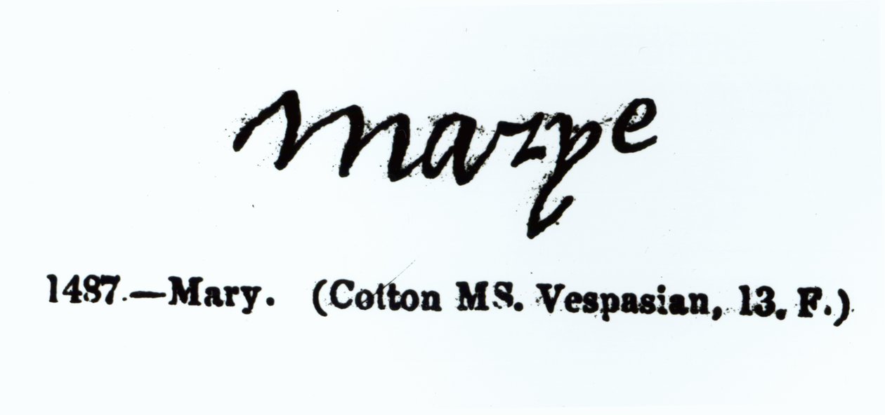 Riproduzione della firma di Maria I (1516-1558) da Unbekannt Unbekannt