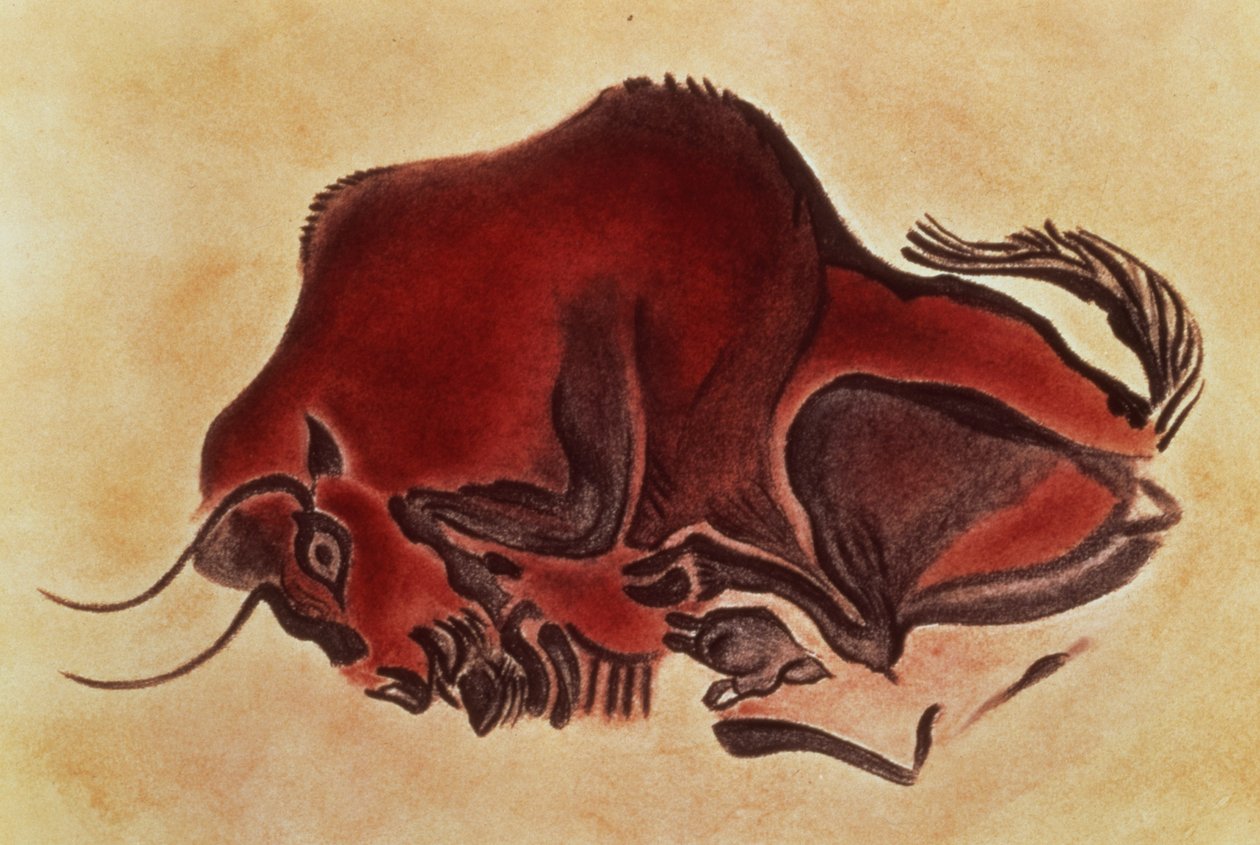 Pittura rupestre di un bisonte, tardo Magdaleniano, 13000 a.C. da Unbekannt Unbekannt