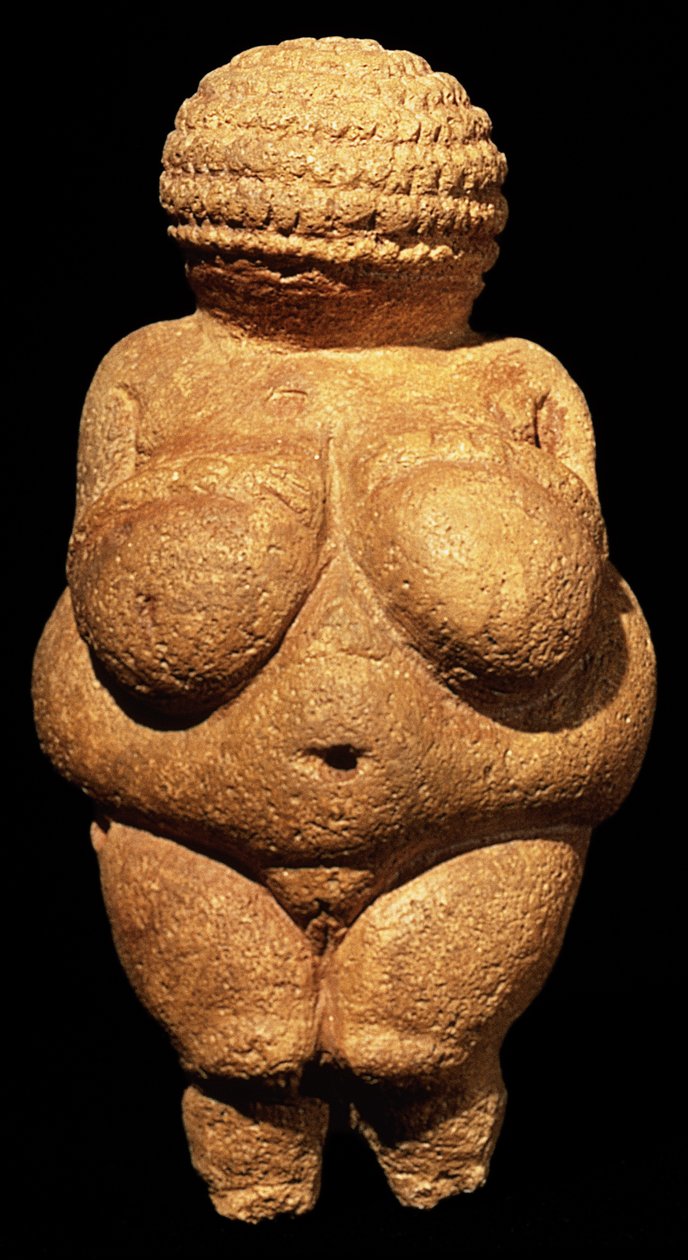 La Venere di Willendorf, simbolo di fertilità, scultura preistorica (vista frontale) da Unbekannt Unbekannt