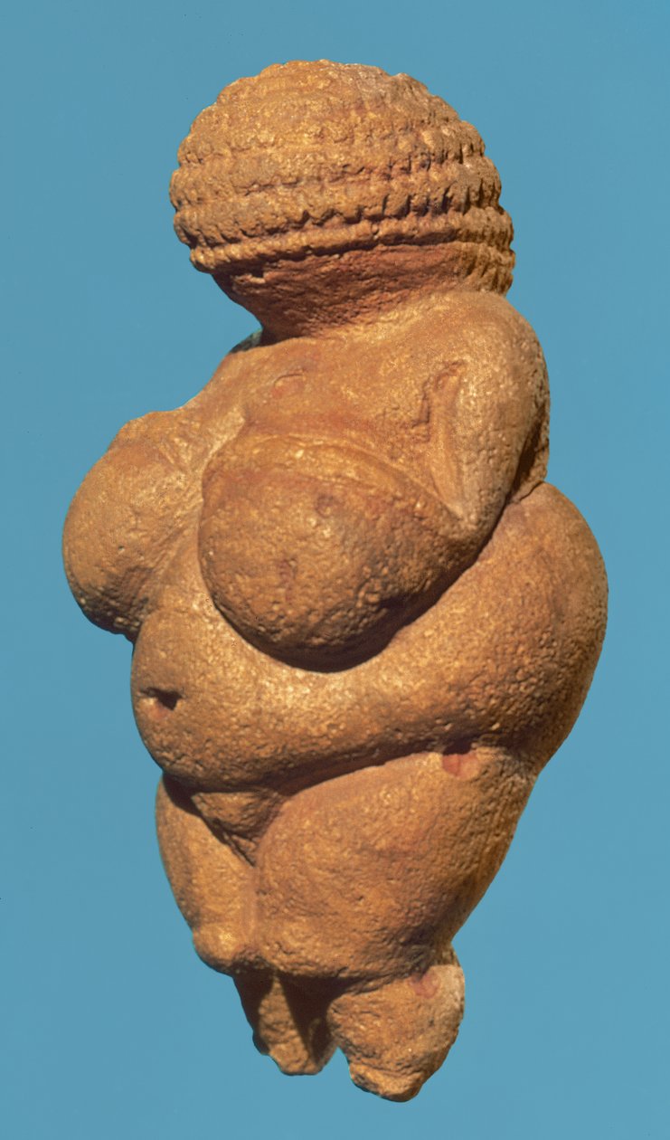 La Venere di Willendorf, vista laterale della figurina femminile, cultura gravettiana, periodo paleolitico superiore da Unbekannt Unbekannt