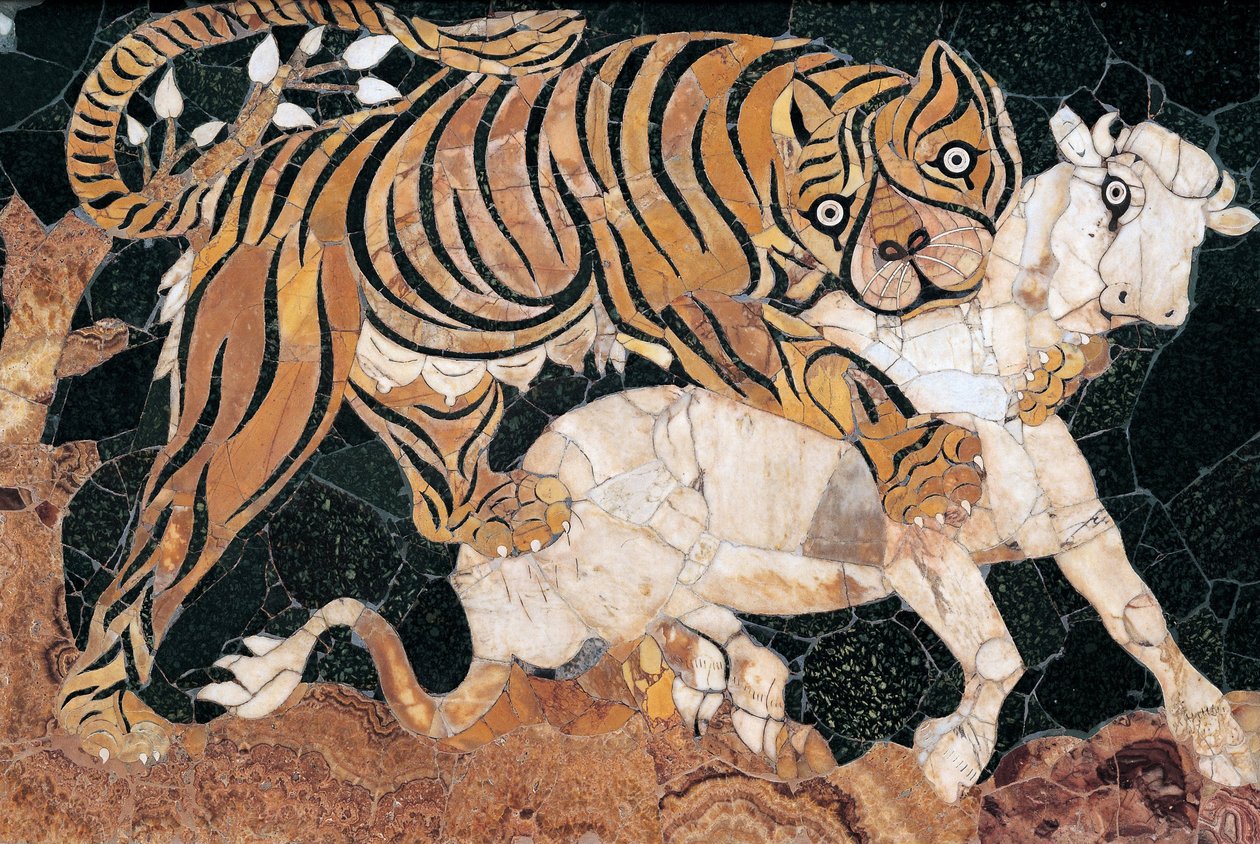 Tigre che attacca un vitello da Unbekannt Unbekannt