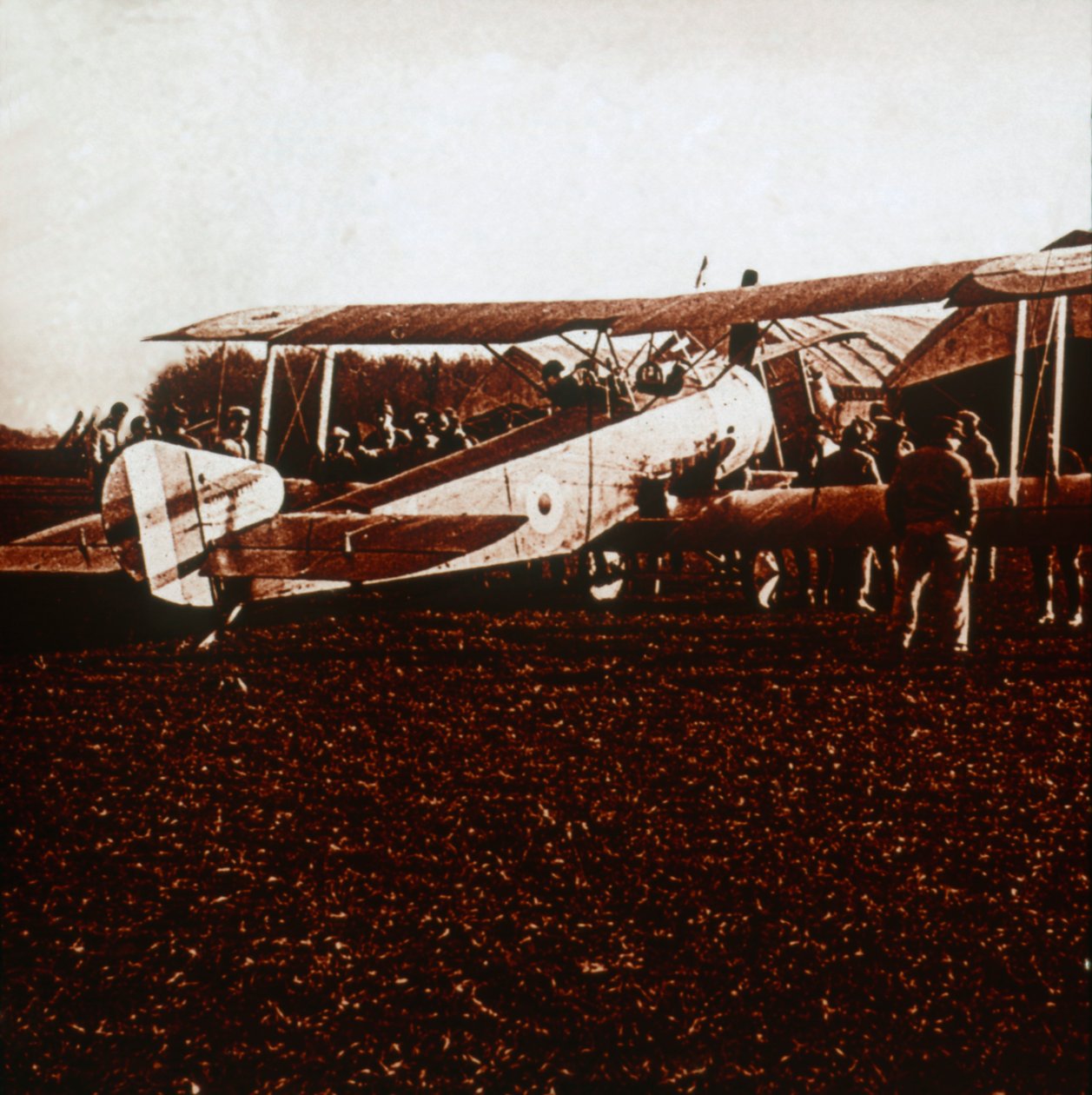 Un Sopwith Camel, c1917-c1918 da Unbekannt