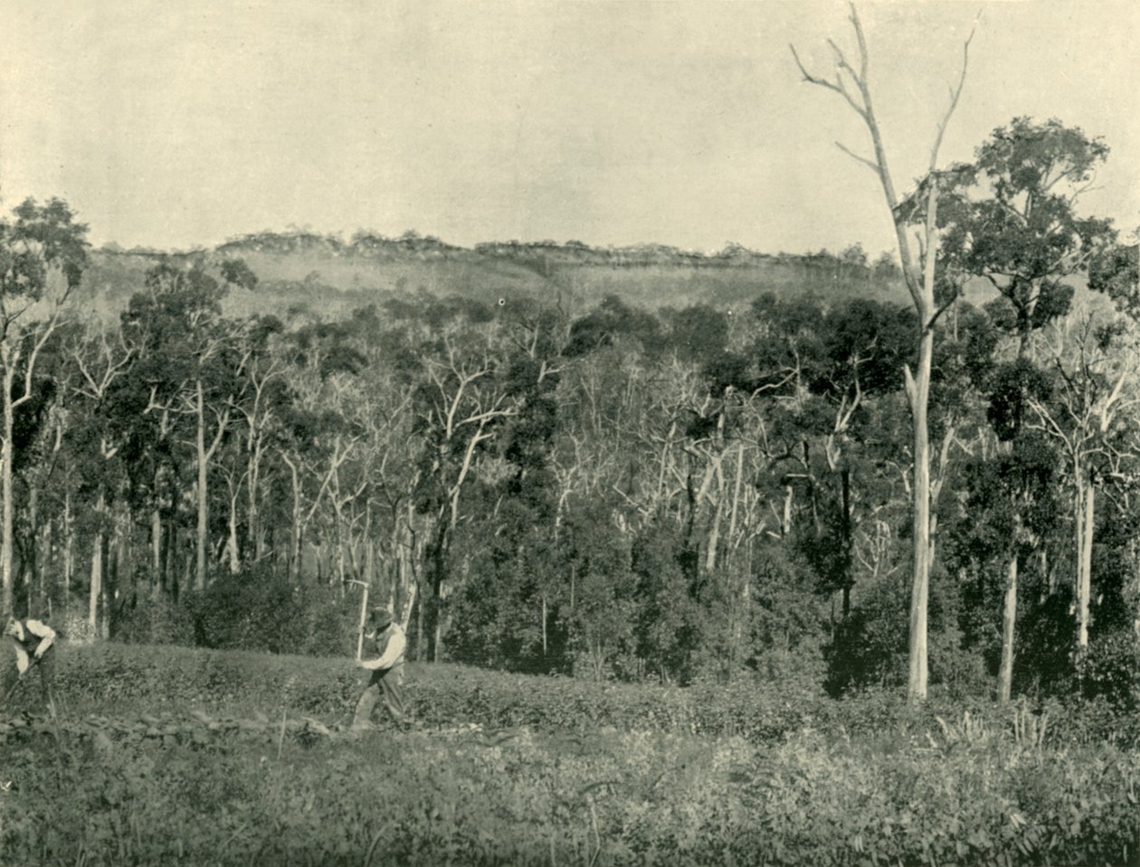 Una fattoria di montagna vittoriana, 1901 da Unbekannt