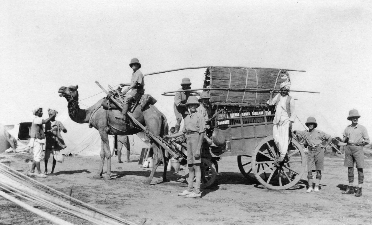 Un carro trainato da cammelli, India, 1916-1917 da Unbekannt