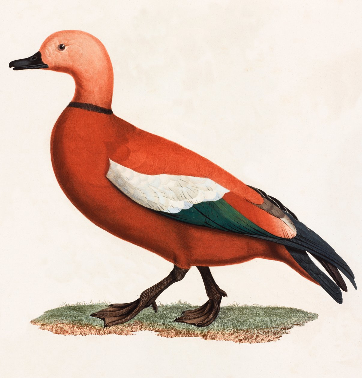 Un