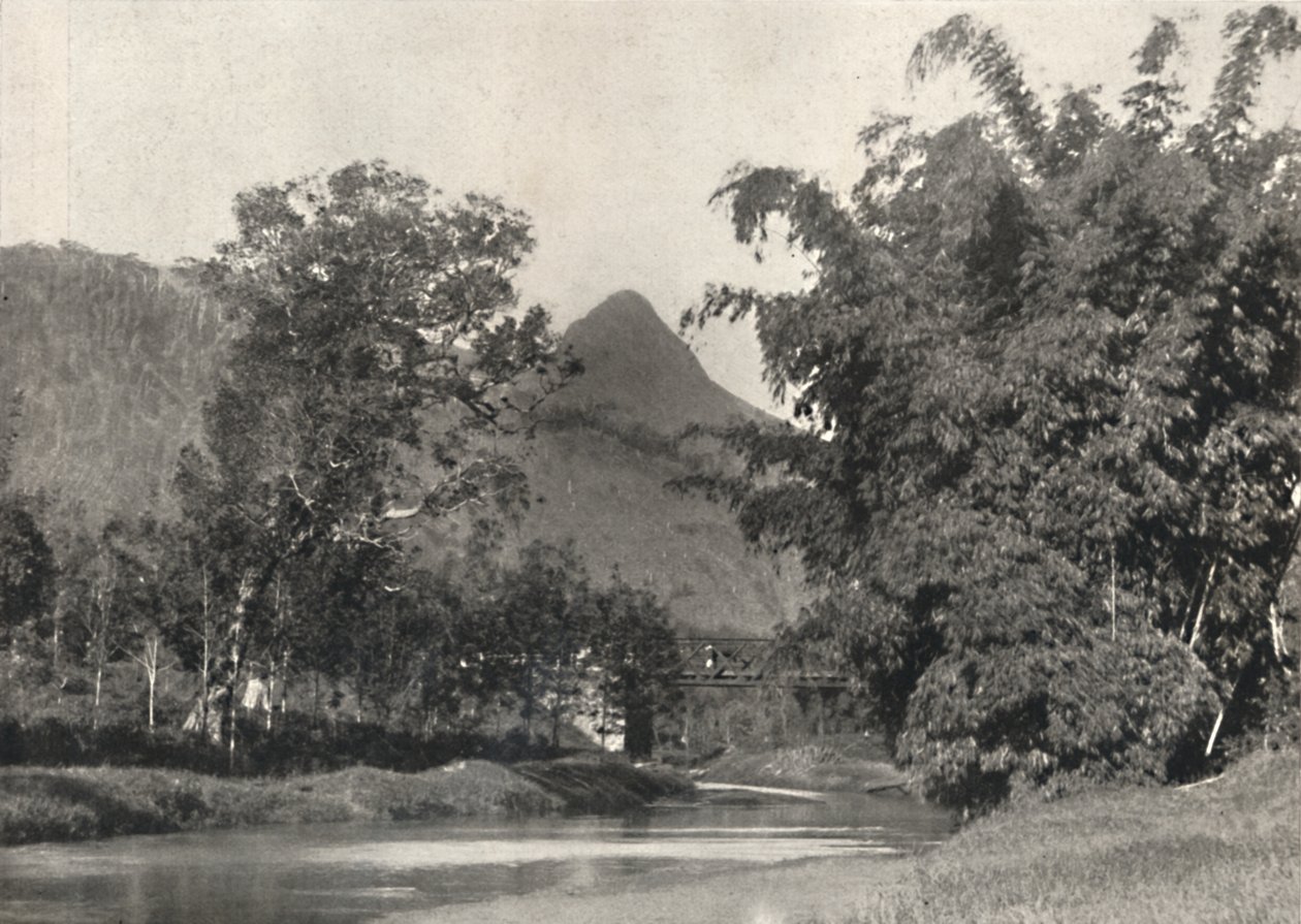 Adamspik von Gegend Maskeliya, 1926 da Unbekannt