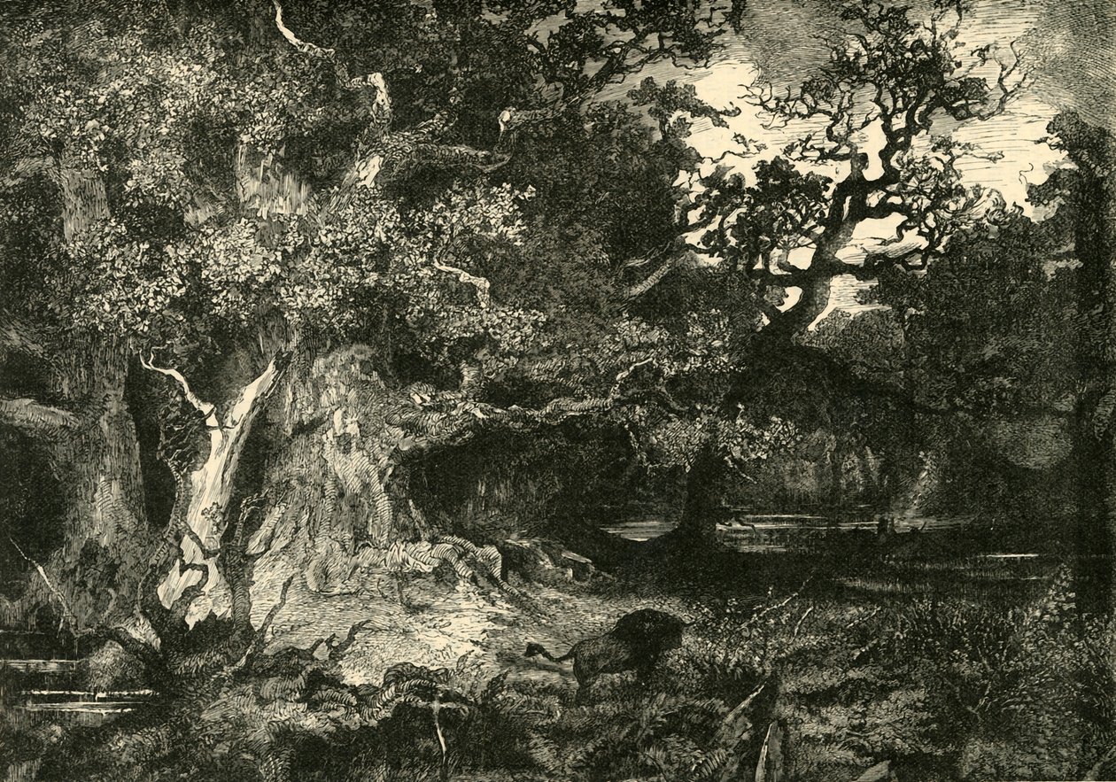 Una vecchia foresta tedesca, 1890 da Unbekannt