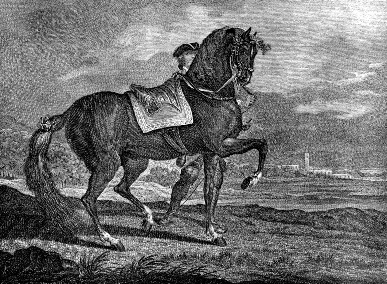 Barb, 1722, 1938 da Unbekannt