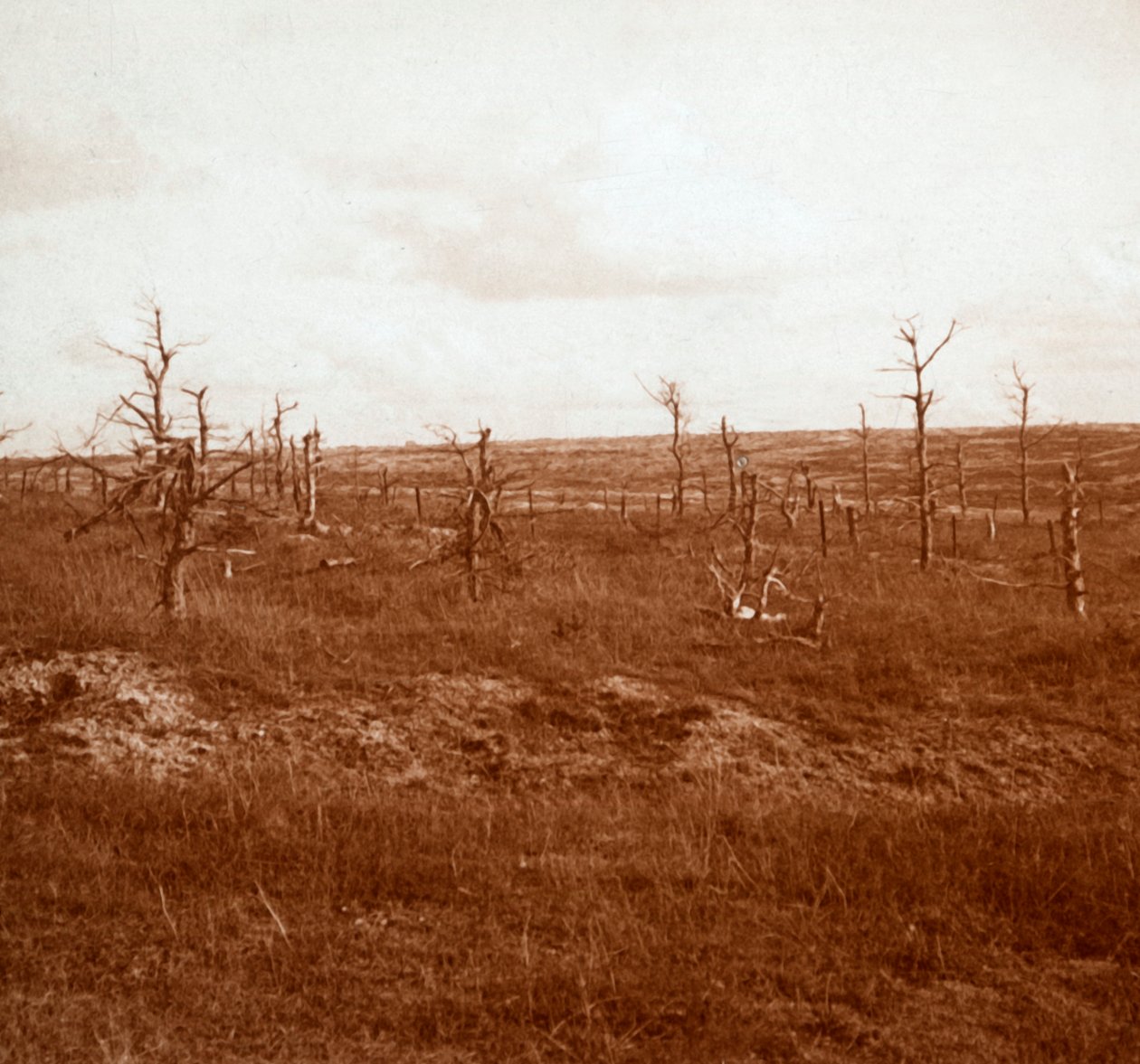 Campo di battaglia, Tahure, Francia settentrionale, c1914-c1918 da Unbekannt