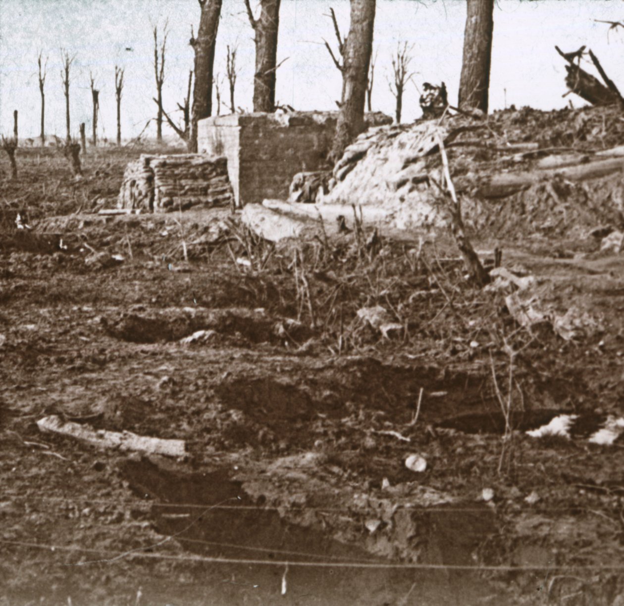 Campo di battaglia, c1914-c1918 da Unbekannt