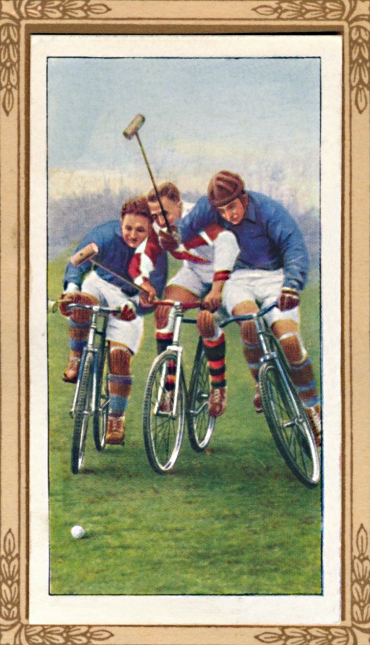 Polo in bicicletta da Unbekannt