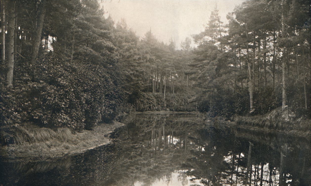 Branksome Chine e Lago da Unbekannt
