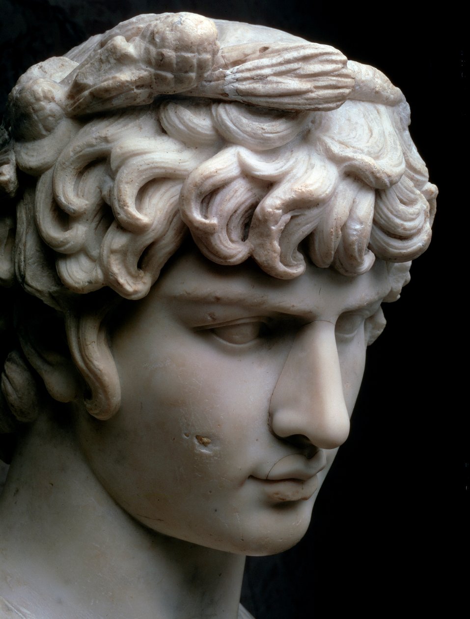 Busto di Antinoo, metà del II secolo d.C. da Unbekannt