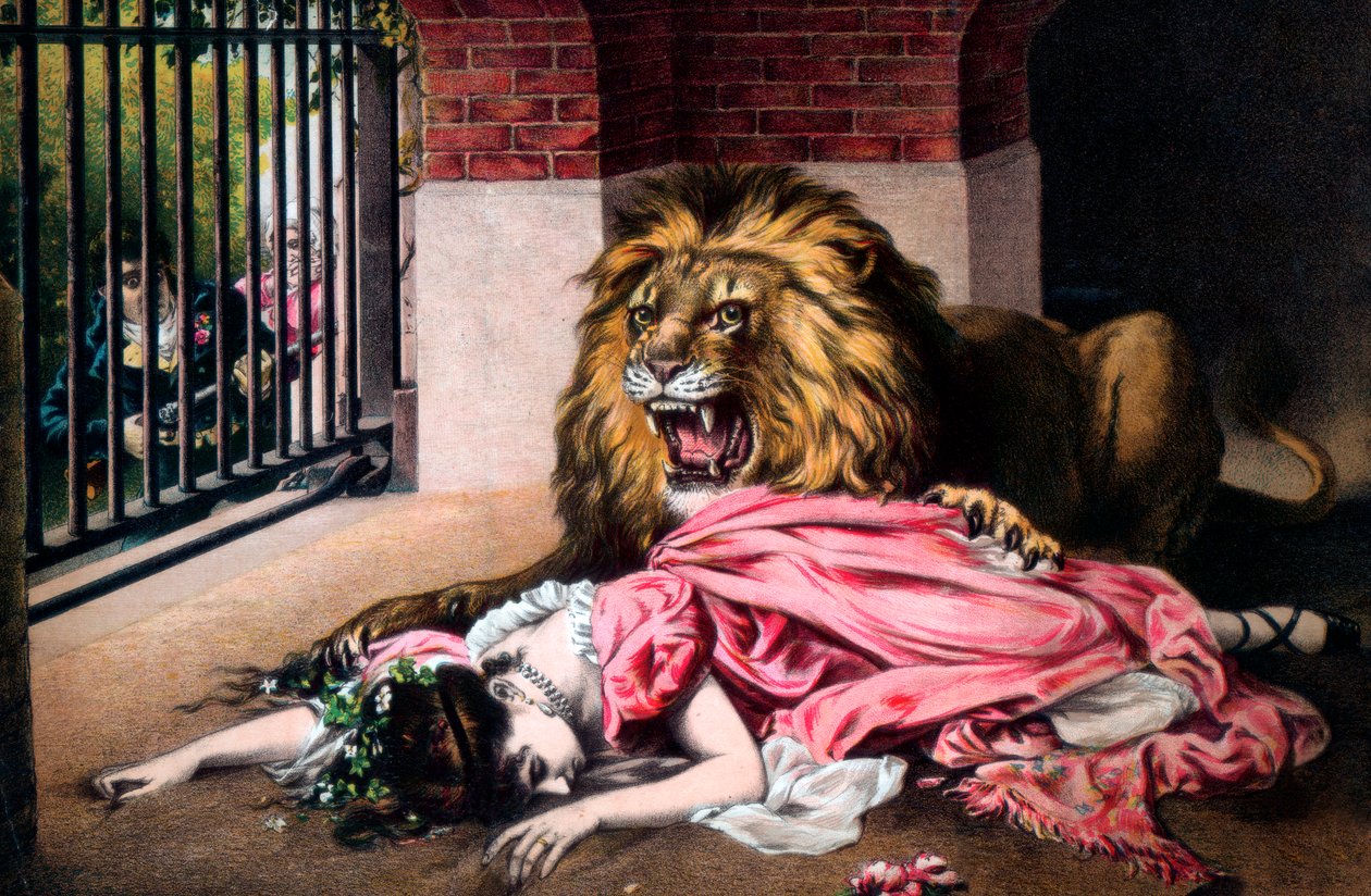 Leone in gabbia con donna dormiente da Unbekannt