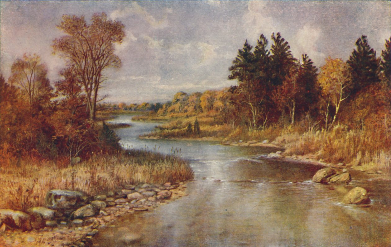 Scena di foresta canadese, 1924 da Unbekannt