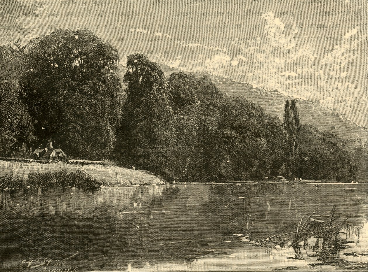 Boschi di Cliefden, 1898 da Unbekannt